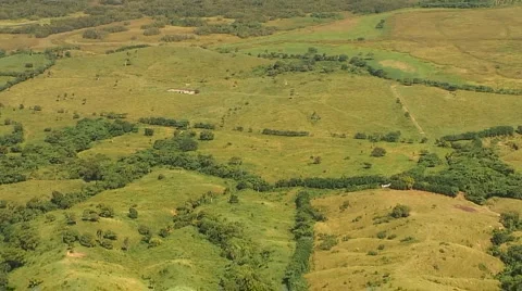 PUNTA CANA 005 Video stock 1040273