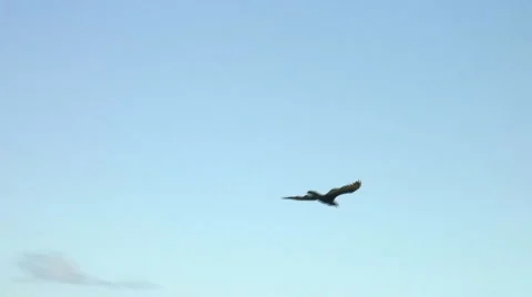 PUNTA CANA 007 Video stock 1040426