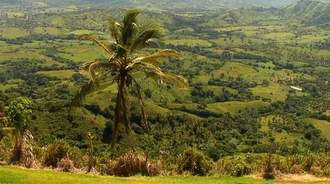 PUNTA CANA 008  Video stock 1038078