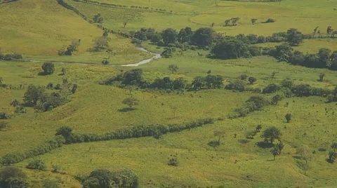 PUNTA CANA 009 Stock Footage 1040508