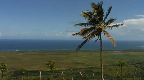 PUNTA CANA 012 Stock Footage 1041485