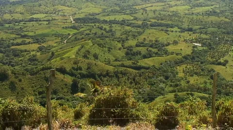 PUNTA CANA 014 Video stock 1042176