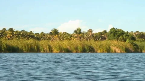 PUNTA CANA 020 Video stock 1058232