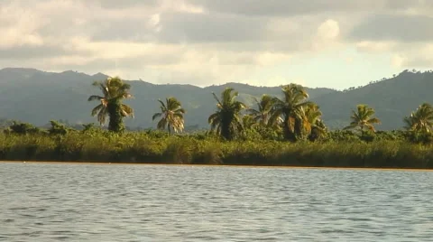 PUNTA CANA 021 Video stock 1058259