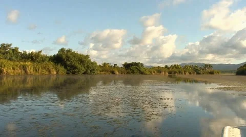 PUNTA CANA 022 Stock Footage 1058313