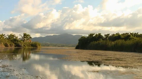 PUNTA CANA 023 Video stock 1058372