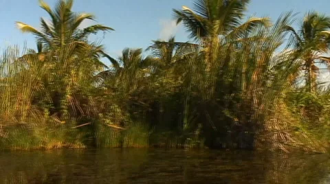 PUNTA CANA 024 Video stock 1058426