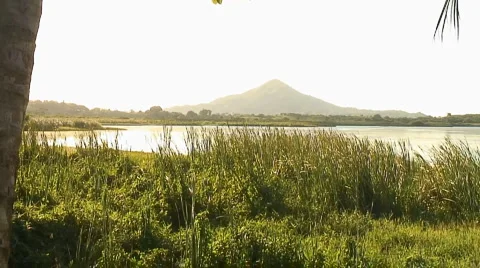 PUNTA CANA 026 Video stock 1058488