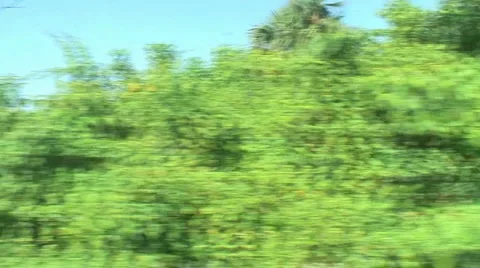 PUNTA CANA 027 Video stock 1094904