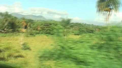 PUNTA CANA 029 Video stock 1094675