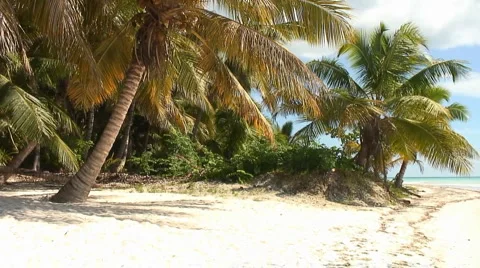 PUNTA CANA 030 Video stock 1095416