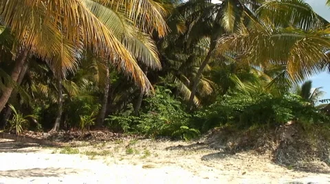 PUNTA CANA 031 Stock Footage 1095407