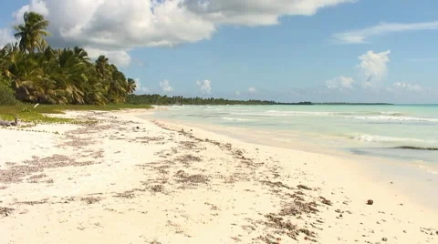 PUNTA CANA 034 Stock Footage 1095196