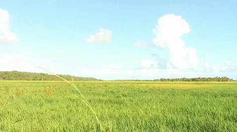 PUNTA CANA 036 Video stock 1095852