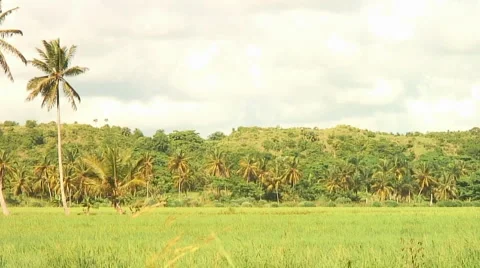 PUNTA CANA 040 Video stock 1095735