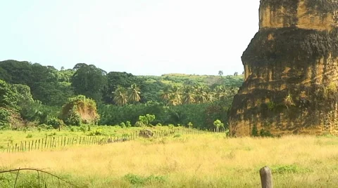 PUNTA CANA 042 Video stock 1095673