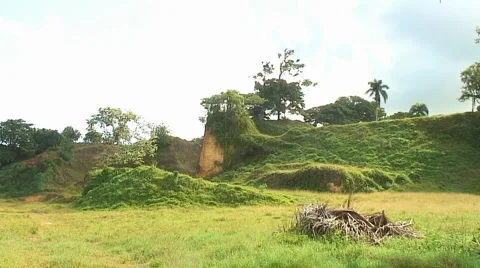 PUNTA CANA 043 Stock Footage 1095662
