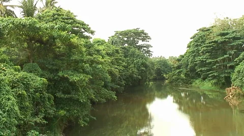 PUNTA CANA 045 Video stock 1095622