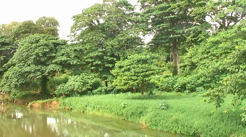 PUNTA CANA 046 Video stock 1095584