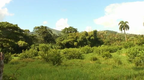 PUNTA CANA 050 Video stock 1095462