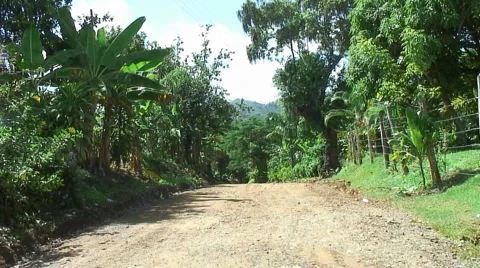 PUNTA CANA 051 Video stock 1097626