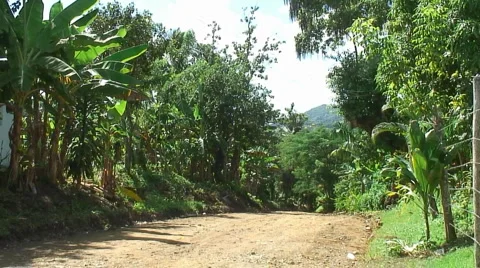 PUNTA CANA 052 Video stock 1097605