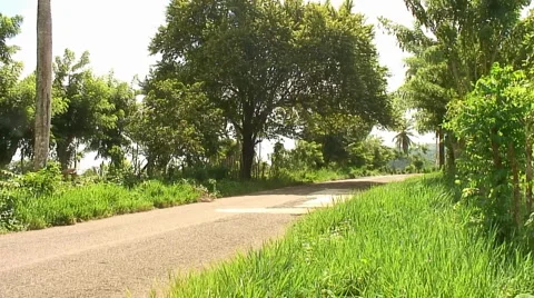 PUNTA CANA 054 Stock Footage 1097495