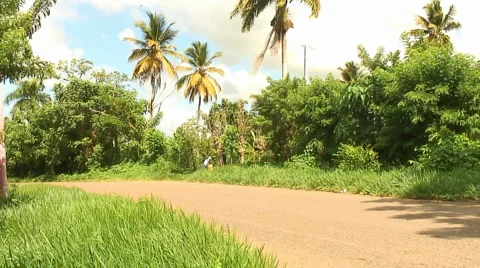 PUNTA CANA 056 Video stock 1097341