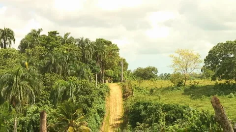 PUNTA CANA 057 Video stock 1097310