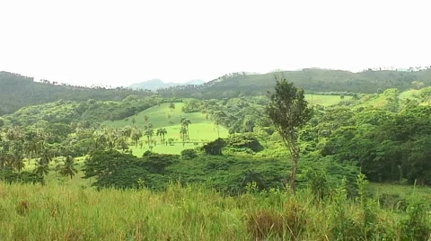 PUNTA CANA 058 Video stock 1097249