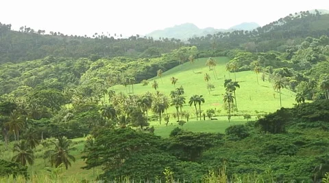 PUNTA CANA 059 Video stock 1097101