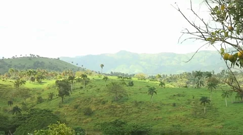 PUNTA CANA 061 Video stock 1096790