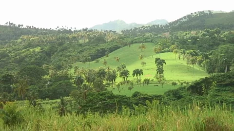 PUNTA CANA 062 Video stock 1096438