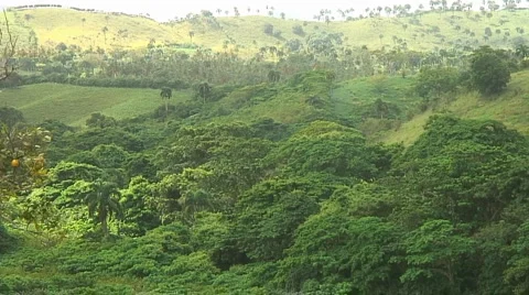 PUNTA CANA 063 Stock Footage 1096180