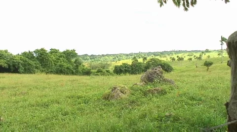 PUNTA CANA 064 Video stock 1096104