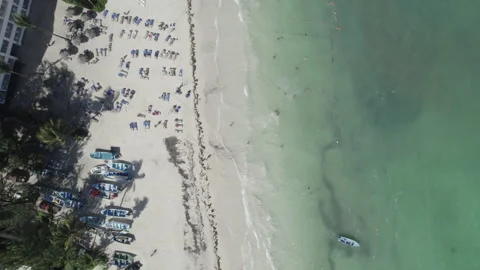 Punta Cana 2k 5 스톡 동영상 231455458