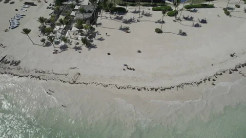 Punta Cana 5k 4 Stock Footage 231456208