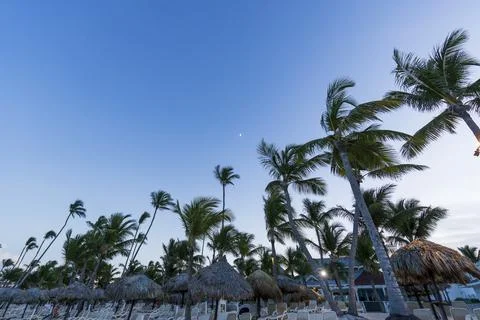 Punta Cana Beach Stock Photos