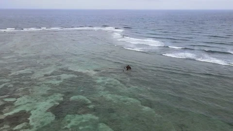 Punta Cana shipwreck flyover Stock Footage 196023344