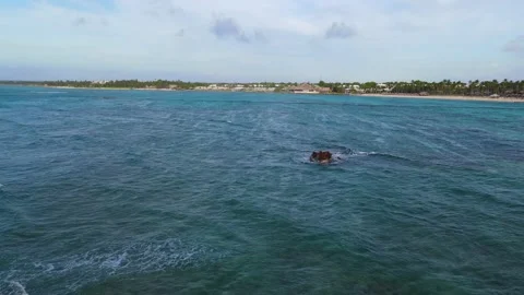 Punta Cana Shipwreck Stock Footage 208073030