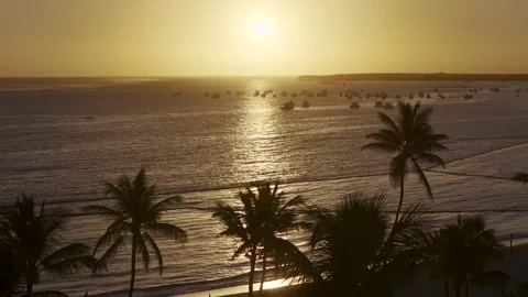 Punta Cana Skyline In Bavaro In Punta Cana Dominican Rep.. Stock Footage 324111228