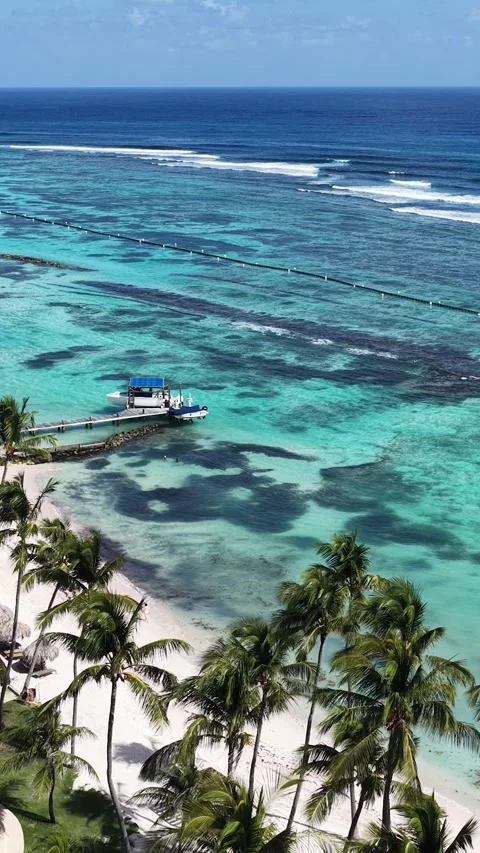 Punta Cana Skyline In Punta Cana In La Altagracia Dominican Rep.. Video stock 325199686