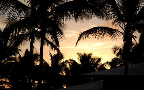 Punta cana sunset 2 Stock Photos