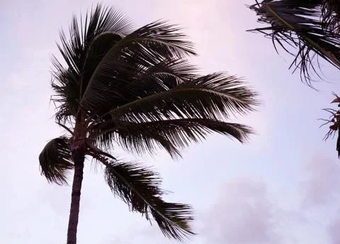 Punta cana sunset Foto stock