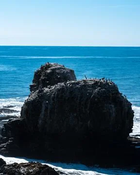 Punta de Lobos emblematic rocks full of native fauna Stock Photos