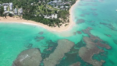 Punta-popy-beach-aerial-4k-sandy-beach-and-caribbean-sea-09 動画素材 317200696