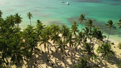 Punta popy beach clear water 03 库存影片 331083630