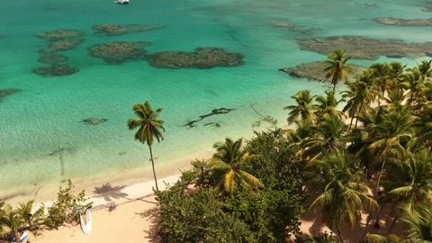 Punta-Popy-Beach-Las-Terrenas-Drone-View-01 Stock Footage 340848772