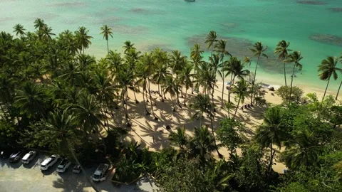 Punta popy beach palm panorama 01 库存影片 331083654