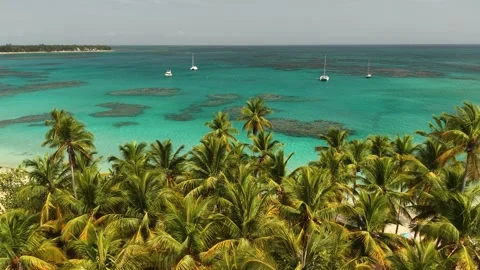 Punta-Popy-Beach-Panoramic-Drone-View-09 Stock Footage 340848786